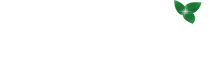 The Rosendin Foundation Logo