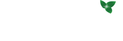 The Rosendin Foundation Logo